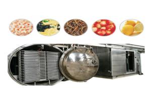 Quality 4-12 Layers Vacuum Freeze Dryer Machine wholesale