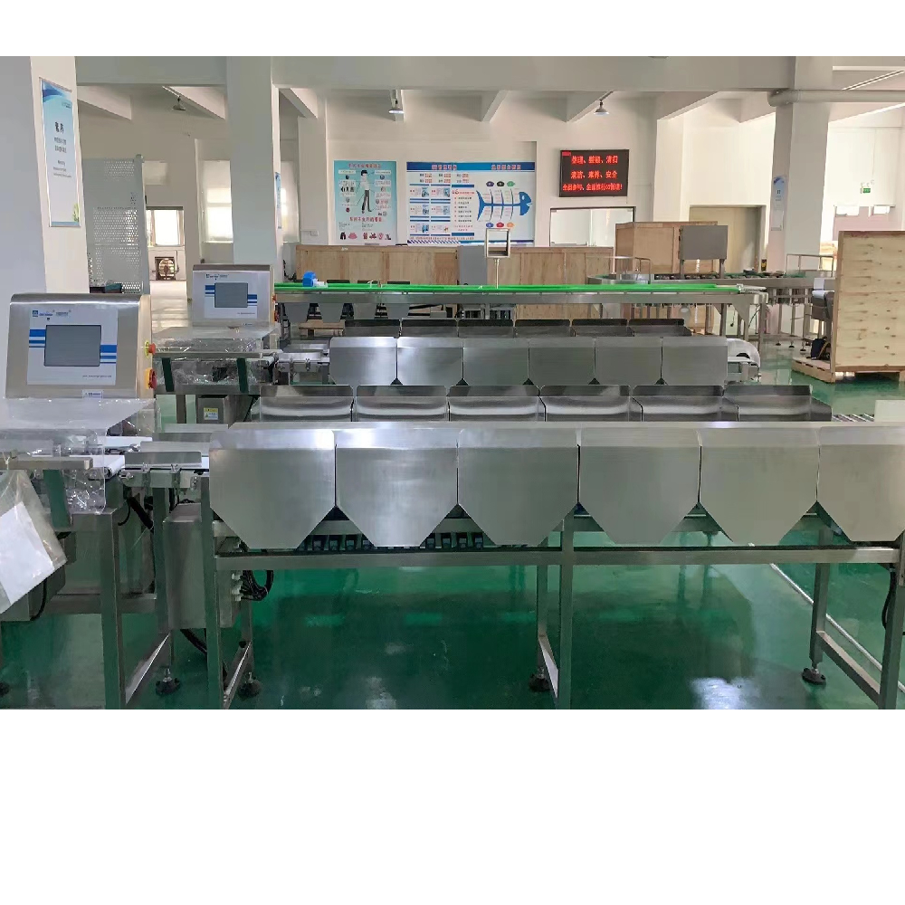 1000 - 6000BPH Weight Sorting Machine For Chicken Slaughtering Line