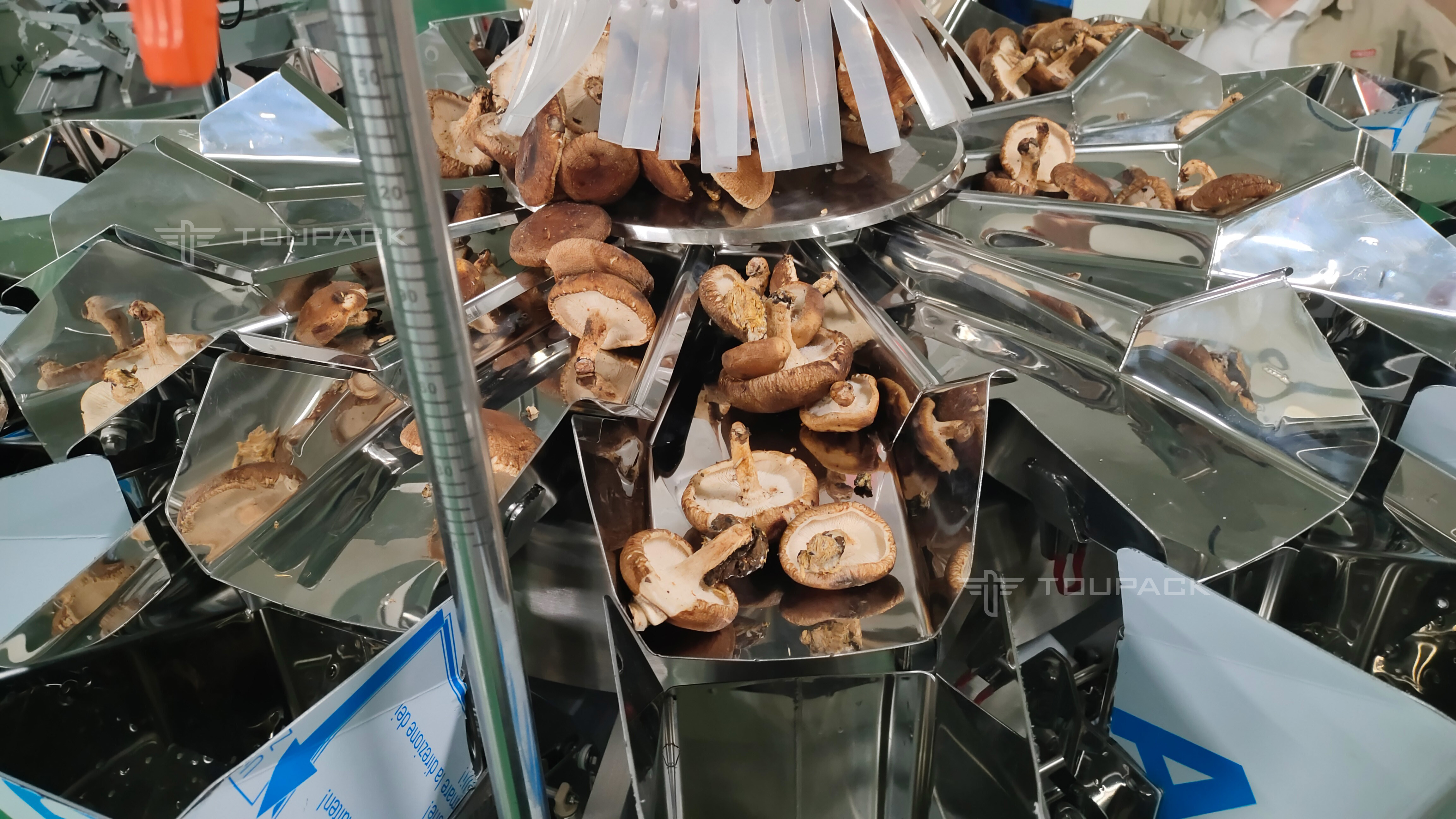 Multi Function Mushroom Vegetable Fruit Combination Scale Weighing Packing Machine 100g