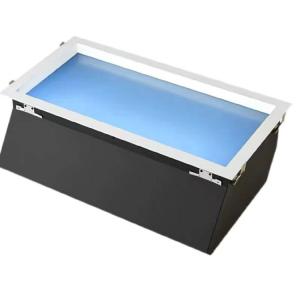 Quality Ac220-240v Ip20 Ceiling Light Sky Rohs Certification wholesale