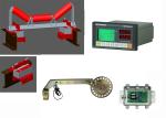 Industrial Weighing Conveyor For Food Screw Conveyor Sartorius Weighing Belt