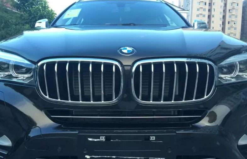 BMW New E71 X6 2015 Exterior Auto Body Trim Parts Front Grille Garnish