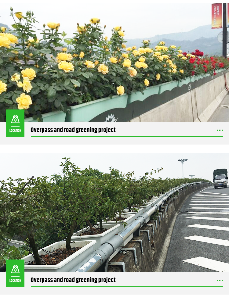 Large Garden Planting Tray The Perfect Combination of Overpass and Green Roof