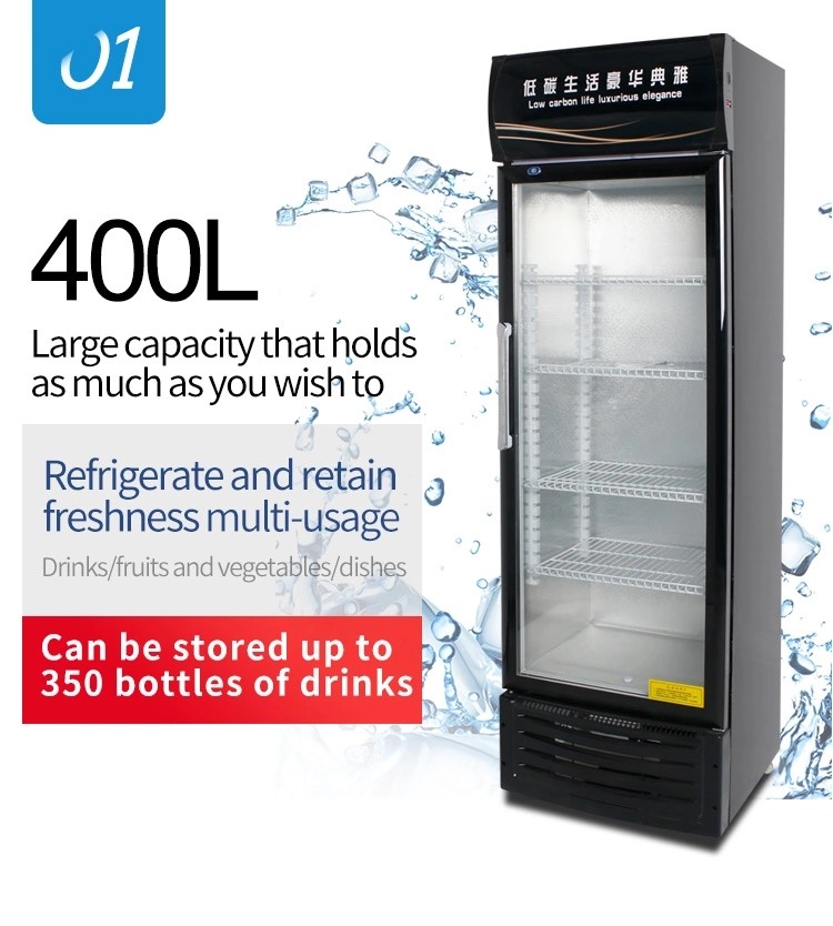 Upright Commercial Display Freezer Beverage Cooler