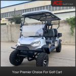 Electric Motor Driven Sightseeing Golf Cart Buggy 8 Hours Charging Time