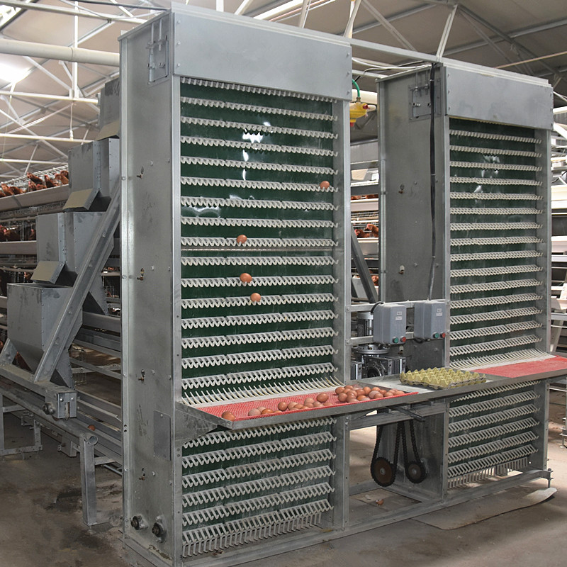Manufacturers Battery Egg Layer Chicken Farm Poultry Laying Hens Cages
