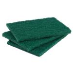 Heavy Duty Green Nylon Scourer Moisture Proof Wear Resistance Custom