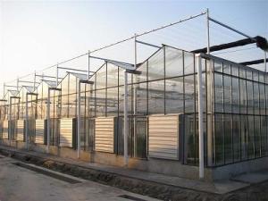 Quality Venlo Glass Greenhouse wholesale