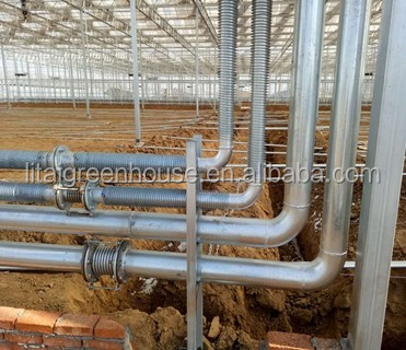 Multi Span Agriculture Greenhouse Height 3m Customized Length 50m