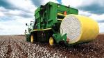Upass Stability Cotton Picker 0.075mm Polyethylene Packaging Film