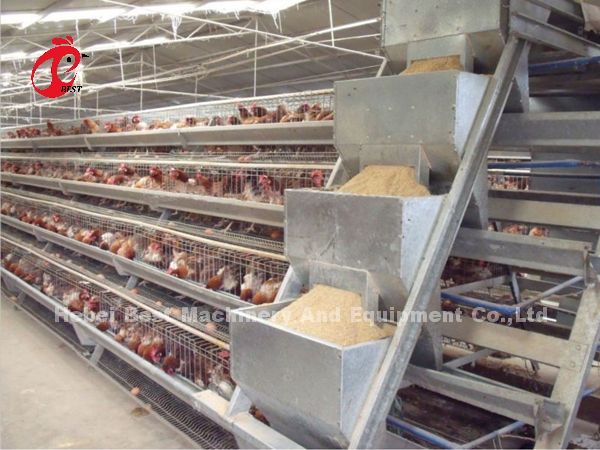 A H Type Automatic Laying Chicken Poultry Farming Cage System In Africa Market Iris