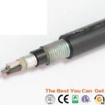 Duct Aerial Armored GYTS Outdoor Fiber Optic Cable Singel Mode YTTX