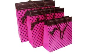 Quality Lovely C2S Paper Gift Bags With Glossy Lamination, Personalized Paper Hand Bag For Gift Packing wholesale