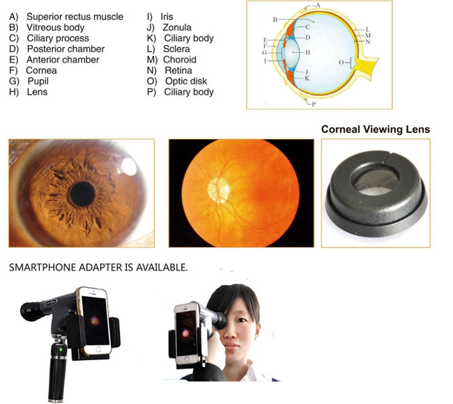 White Light Ophthalmic Pantoscopic Ophthalmoscope Portable Digital Imaging