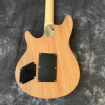 EVH Wolfgang Edward Van Halen Guitars quilted vibrato Floyd Rose Electric
