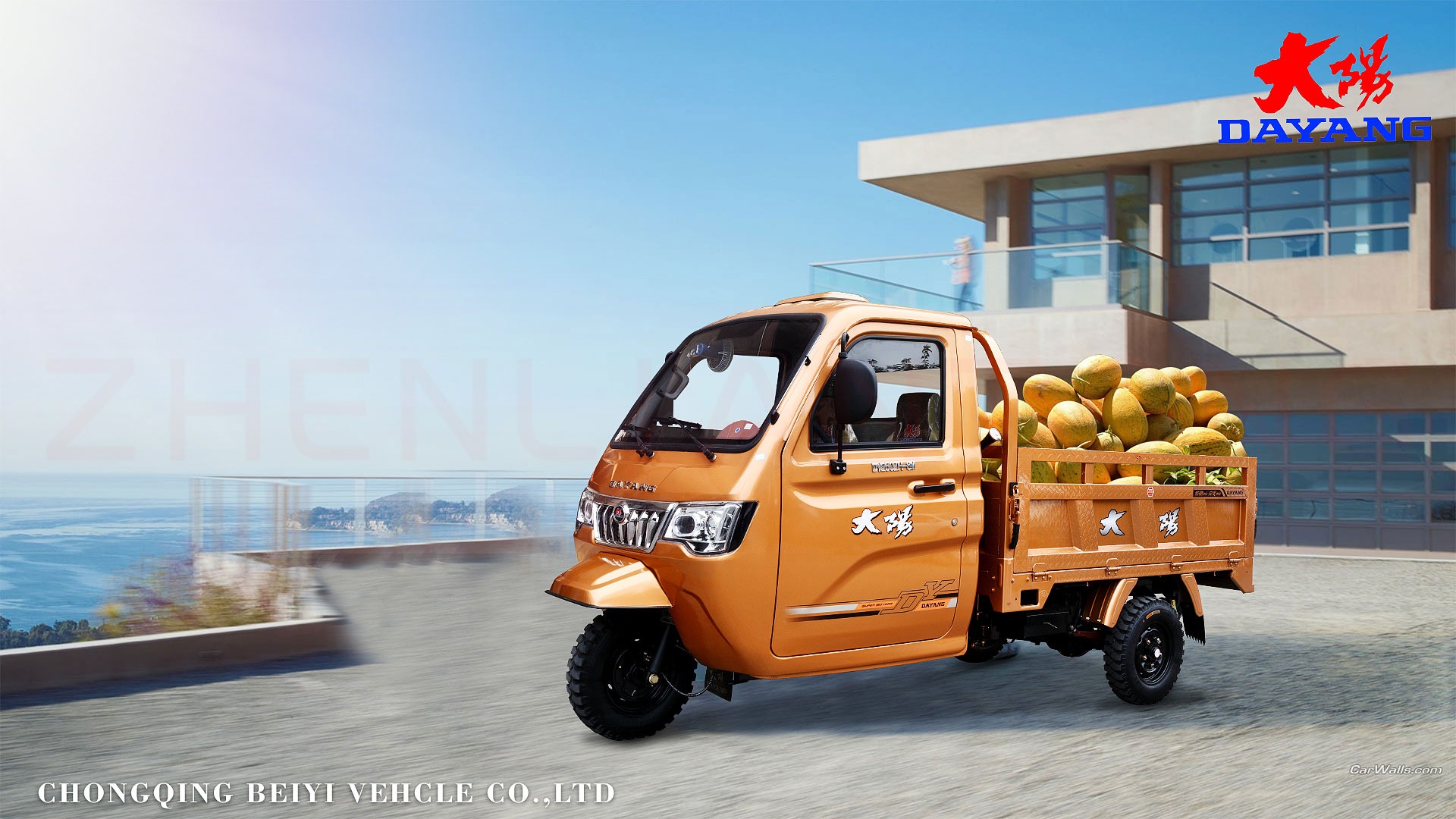 DAYANG Adult 300CC Water Cooling Three Wheel Tricycle For Cargo Enclosed Voltage 12V
