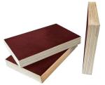 Poplar Core 18mm Hardwood Plywood , Concrete Shuttering Ply Easy Work