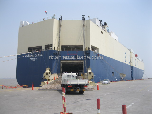 EURO 5 Emission Standard 4X4 6X6 10T Desert Off-road Pickup Cargo Truck from Dongfeng