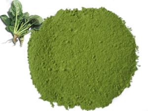 Quality Sell Freeze Dried Spinach Powder Natural Additives wholesale