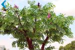 2.5m Artificial Tree Plant For Restaurant Wedding Hotel Home Decoration