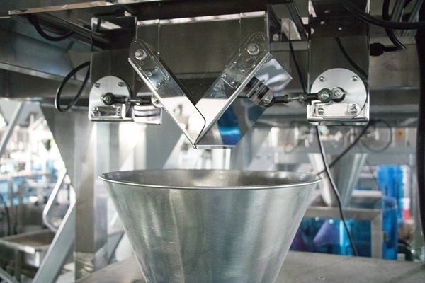 Automatic frozen food french fries plantain banana chips packing machine
