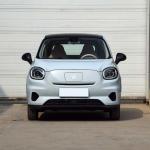 ISO14001 Certified 4 Seats EV Car Electric Vehicle Mini Electric Car by