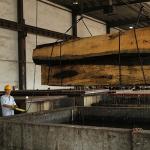 Natural Ash Wood Veneer Flat Cut Crown Grain For Cabinet Face