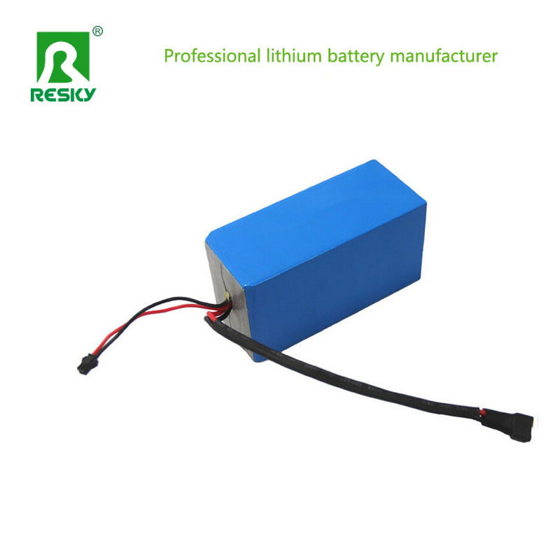 Rechargeable Electric Bike Battery 48V 8.8ah 350W E Scooter Lithium Battery Pack