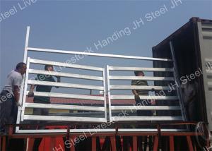 Quality Australia Style Tubular Cattle Yard Panel Livestock Cattle Yard Gate wholesale