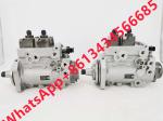 Diesel Common Rail Fuel Injection Pump 0986437506 5010780R1 3005275C1 0445020126