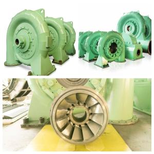 Quality Steel Hydro Turbine Brushless Excitation Generator Set For 5m-500m Water Head wholesale