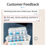 Automatic Cartoning Machine Packaging Small Bag Sachet Blister Board Plate