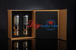 HIFI DIY Electronic Vacuum Tube Triode Tube Type Shuguang Sounds Of Nature 845-T
