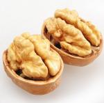 Walnut Xin 2