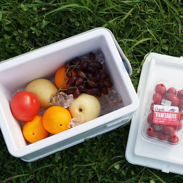 Cold Chain Ice Cooler Box 5L Phefon Outdoor Cooler Box White