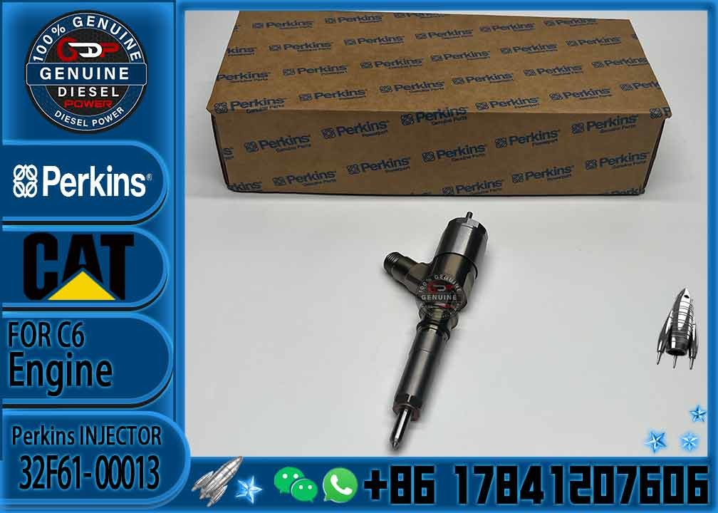 Diesel Engine Fuel Injector Excavator Accessories Diesel Motor Parts 32F61-00013 for Caterpillar CAT C4.2