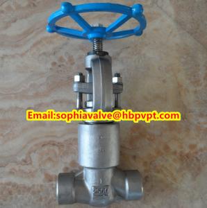 Quality ANSI forged stainless steel globe valve wholesale