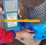 PN16 GG25 cast iron foot valve
