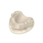 Opposite Jaw Dental Model Resin Odorless