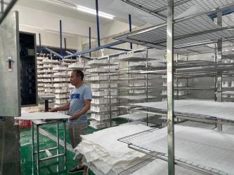 Dongguan Lvxin Packaging Technology Co.,Ltd