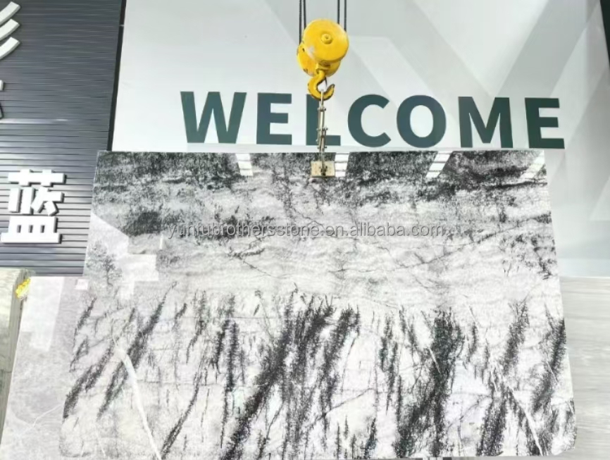 Italian Natural Stone Silver Fir Black Grey Look Marble Textured Slab for Home Wall Panel