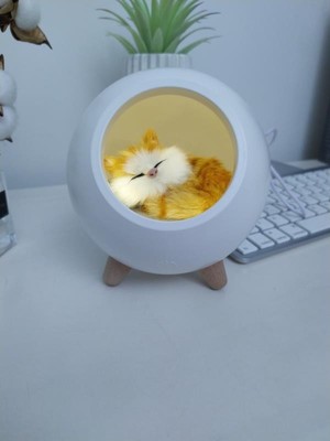 Atmosphere Touch Induction Dimming Children Table Lamp USB Charging Cartoon LED Battery Lighting and Circuitry Design Room EMC