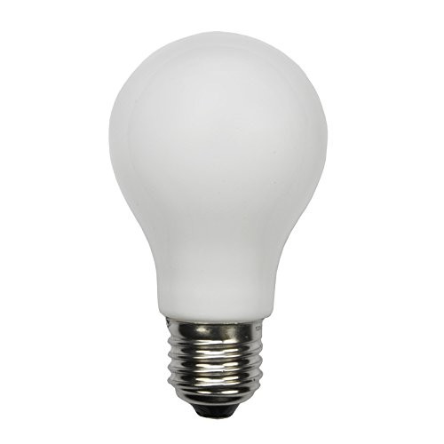 High quantity LED bulbs Direct Replacement for 60W Incandescent A19 Lamps