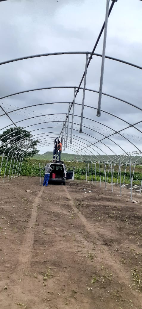2.5-5M Height Tomato Hydroponic High Tunnel Agriculture Greenhouse with Film Cover