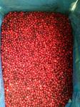 IQF Individually Quick Freezing Red Lingonberry For Jams & Jellies Making