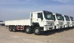 Manual Transmission Howo Cargo Truck 8x4 Euro 2 Emission 371hp Engine ZZ1317N386