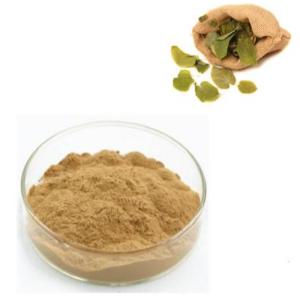 Quality Feed Grade Icariin Epimedium PE Plant Extracted Powder For Animal Healthy wholesale