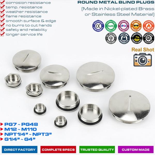 304, 316 Stainless Steel (Brass) Round or Hexagonal Blind Plugs Blanking Plugs