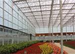 8m*4m Size Garden Glass Greenhouse Good Sealing Performance For Livestock