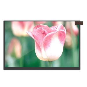 Quality BOE 10.1 Inch 1280x800 Laptop LCD Display wholesale